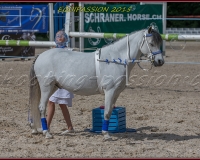 1-13JUIN 0960